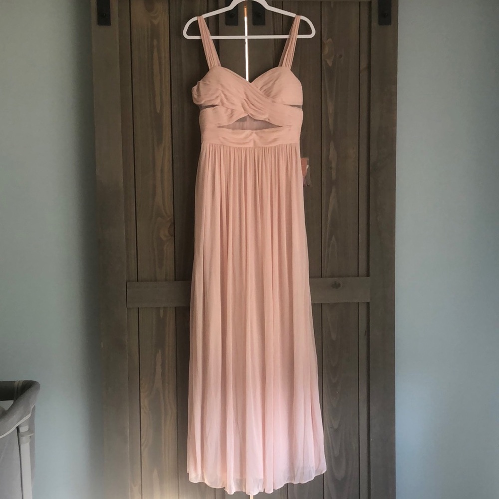 Birdy Grey Elsye Dress, Medium, NWT, Pale Blush